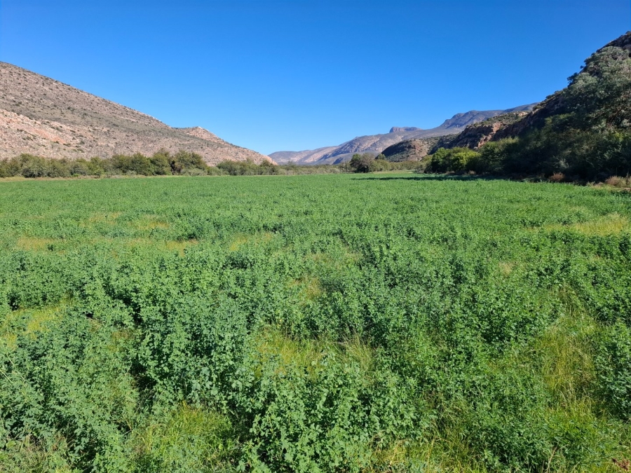  Bedroom Property for Sale in Ladismith Rural Western Cape